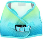 Doggie Design No Choke Dog Harness - Simple Step-in and Go Dog Vest for Small, Medium, and Large Breeds - Breathable Mesh Polyester Pet Harness - Aruba Blue - L