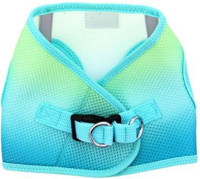 Doggie Design No Choke Dog Harness - Simple Step-in and Go Dog Vest for Small, Medium, and Large Breeds - Breathable Mesh Polyester Pet Harness - Aruba Blue - L