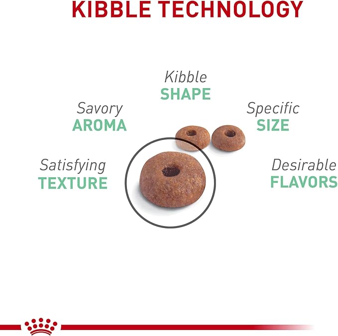 Royal Canin Feline Care Nutrition Digestive Care Adult Dry Cat Food, 3 lb Bag