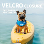 ALL FOR PAWS Dog Cooling Bandana, Cooling Bandanas for Extra Large Dogs, Ice Dog Bandanas, Cooling Neck Wraps for Dogs, Chill Out Blue Neck Cooler (XL)