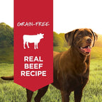 Instinct Original Wet Dog Food, Grain Free Recipe - Real Beef, 13.2 oz. Cans (Pack of 6)