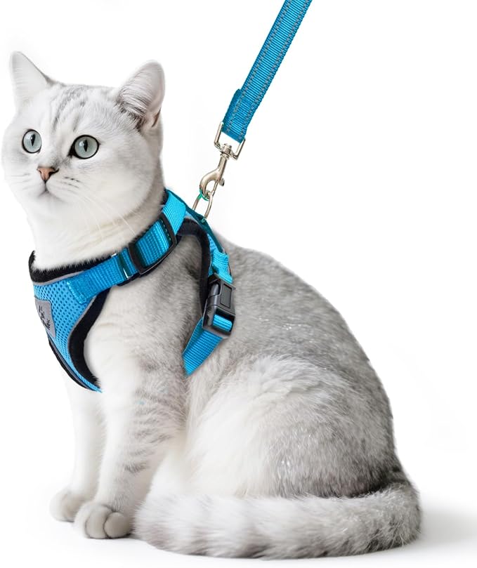 PUPTECK Cat Harness and Leash Set Escape Proof Reflective Cat Walking Harness Adjustable Soft Breathable Mesh Vest for Small Pets, Blue, S