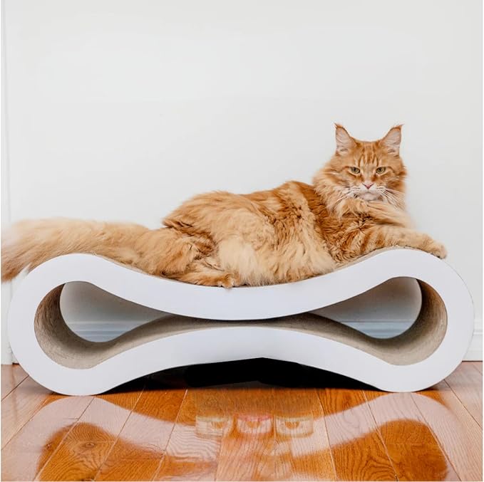 Weruva Classic Cat 11 Flavors Variety Pack – Gluten & Grain Free, 5.5 oz Cans (Pack of 24)