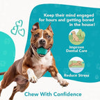 Treat Dispenser Ball Toy, Beef Flavored Interactive Dispensing, Floatable Dog Toys with Treats