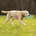 DODODOLA Cute Stuffed Hippo Dog Toys Squeaky Dog Toys with Crinkle Paper Dog Plush Toys for Large Breed Dog Chew Toys for Small, Medium, Large Dogs