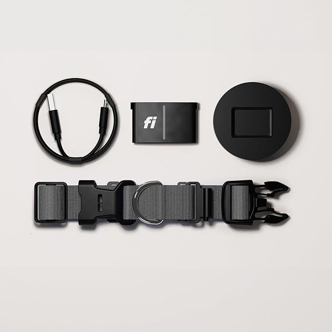 Fi Series 3+ Smart Dog Collar - GPS Dog Tracker and Activity & Fitness Monitor, Waterproof, LED Light, Escape Alerts, Nationwide Coverage [Free 6 Month Membership] (Gray, Extra Small)