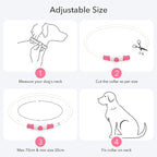 Colaseeme LED Dog Collar, Light Up Dog Collar 1 Count USB Rechargeable TPU Glow Safety Dog Necklace Light, Dog Lights for Small Medium Large Dogs, Please Do Not Use Fast Charging (Pink)