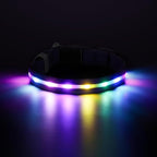 RUXAN Light Up Dog Collar,Dog Lights for Night Walking,LED Collars Waterproof,Glow Dog Collars Rechargeable,Glow in The Dark Dog Collar,Dog Collars Light for Small,Medium,Large Dogs (Medium,Purple)