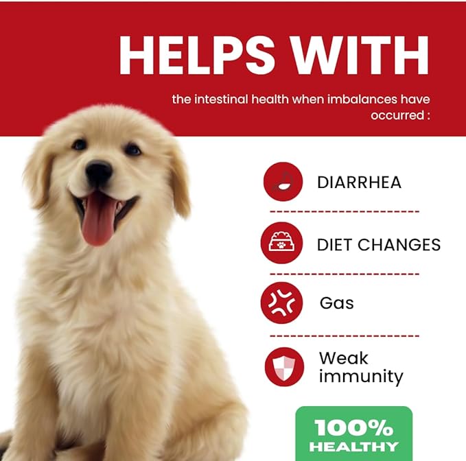 TPC Probiotics for Dogs, 90 Soft Chews – Dog Probiotics with Digestive Enzymes & Prebiotics – Supports Gut Health, Diarrhea & Bowel Support, Seasonal Allergies – Pet Supplement