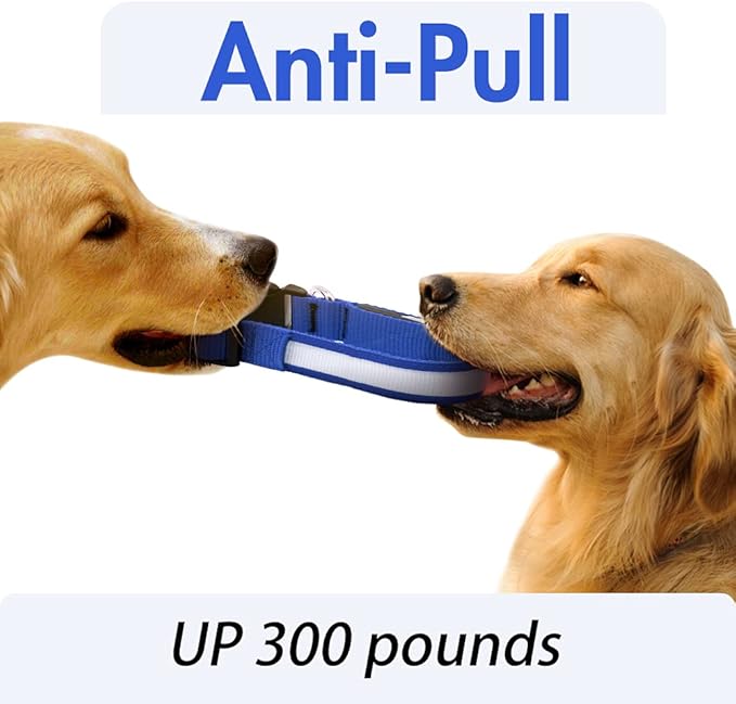 YFbrite Ultra Light Adjustable LED Dog Collar, Light up Dog Collars Rechargeable Glowing in The Dark Collars Visiblity & Safety for Small, Medium, Large Dogs (Blue, Large)