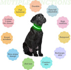 Light up Dog Collars- USB Rechargeable LED Dog Collar, Full Illuminated and Adjustable Dog Collar Light, Three Colors and Three Sizes for Small, Medium, Large Dogs (Medium, Pink-2)