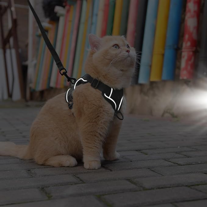 Cat Harness and Leash Set: Upgraded Escape Proof Vest with Lead for Large Cat Small Dog Puppy Walking, Soft Jacket Reflective Strips, Black (S)