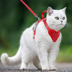 Cat Harness and Leash Set Escape Proof for Kitten Walking, Soft Adjustable Top Handle Vest Harnesses for Cats, Easy Control Breathable Reflective Small Medium Large, Red, S