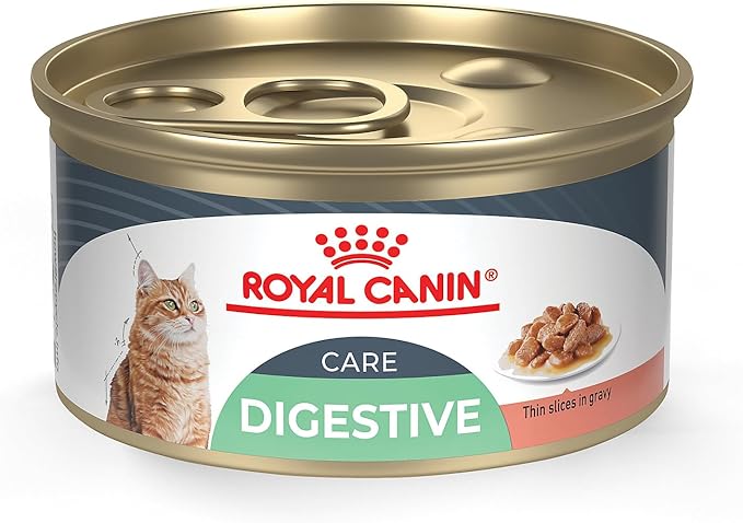 Royal Canin Feline Care Nutrition Digestive Care Adult Thin Slices in Gravy Cat Food, 3 oz (Pack of 24)