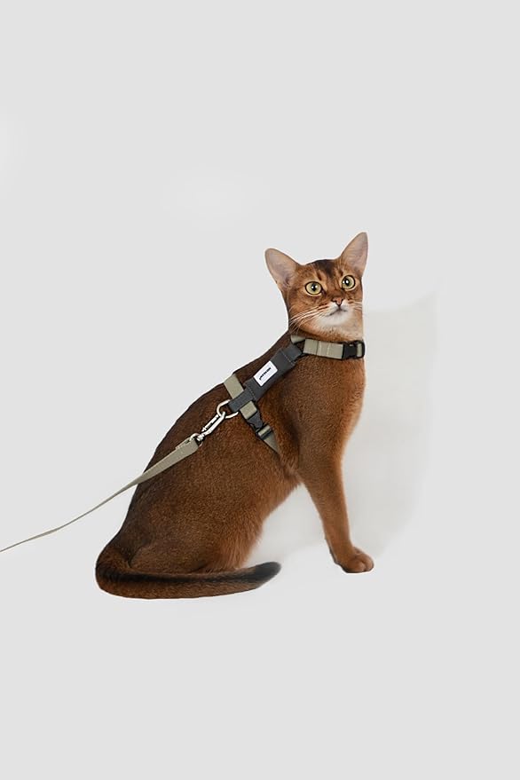 H-Shape Escape Proof Cat Harness & Leash Set - Plush Padded Back, Adjustable Neck/Chest, Lightweight, w/ 1.5cm Wide Leash for Kittens to Adult Cats(Olive and Gray)
