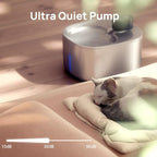 iPettie Runway Stainless Steel Cat Water Fountain, 1.1 Gal/4.0L Large Capacity, 5-Stage Water Filter