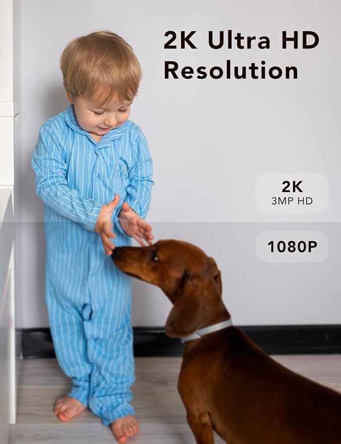 2K Security Camera, Outdoor/Indoor for Home, Pet, Baby, Nanny, IP65 Wterproof Color Night Vision, White Light & Siren, Recording, Motion Detection, Compatible with Alexa,Black-2P