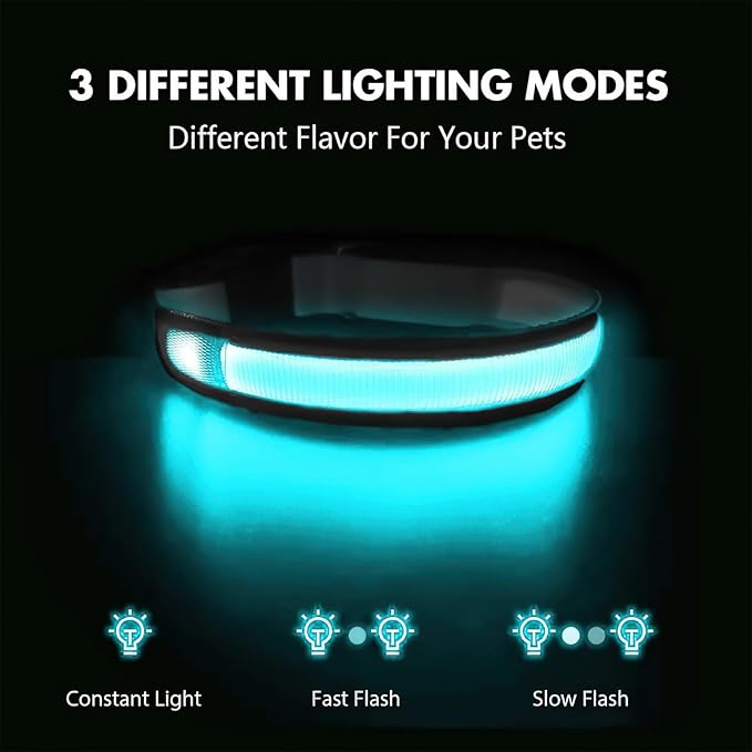 MASBRILL Light Up Dog Collars - LED Dog Collar Rechargeable Lighted Dog Collar Resistant-Water Night Walking Glow Dog Collars
