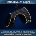 PUPTECK Soft Mesh Cat Vest Harness and Leash Set Puppy Padded Pet Harnesses Escape Proof for Cats Small Dogs Rabbits Bunny