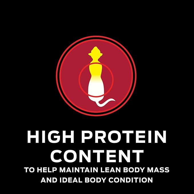 Purina Pro Plan Veterinary Diets DM Dietetic Management Savory Selects Feline Formula Wet Cat Food - (Pack of 24) 5.5 oz. Cans