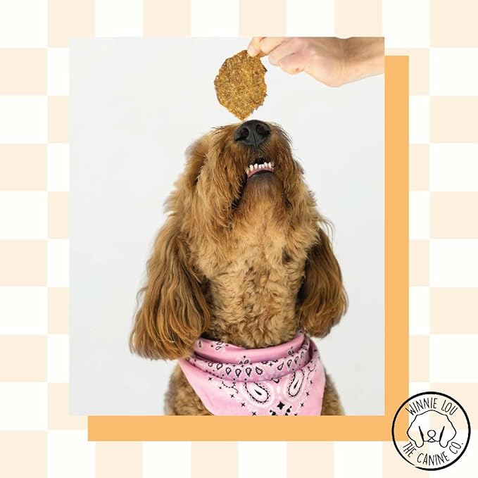 Winnie Lou Organic Jerky Dog Treats - Human Grade, Made in USA - All Natural, Healthy (Turkey Jerky)