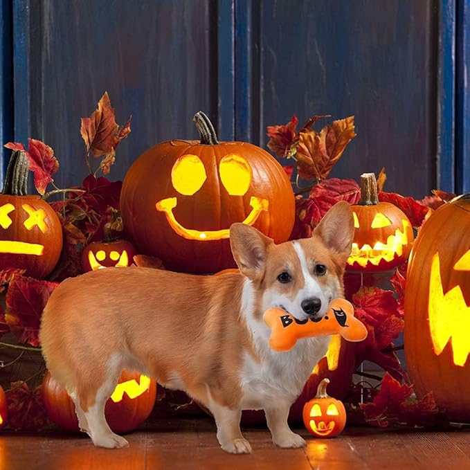 SCENEREAL Dog Squeaky Toy - Halloween Bone Toy 4 Pack - Durable Plush Chew Toys with Squeakers Interactive Game Suitable for Small Medium Dogs
