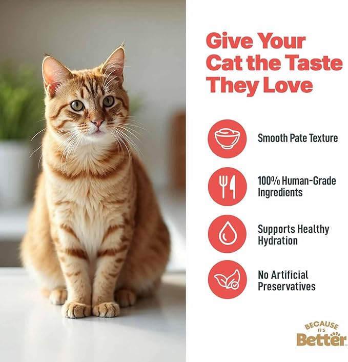 Because it's Better Pate Complete Meal, Turf & Surf Recipe, 2.6 oz Pouches, Wet Cat Food, 12 Count
