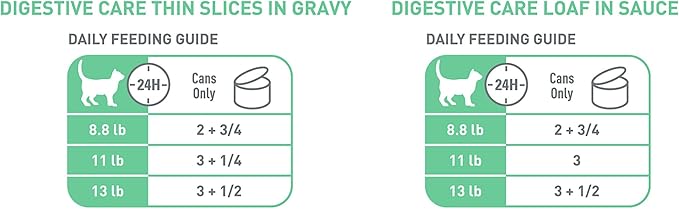 Royal Canin Feline Care Nutrition Digestive Care Adult Thin Slices in Gravy and Loaf in Sauce Cat Food, 3 oz (Pack of 12)