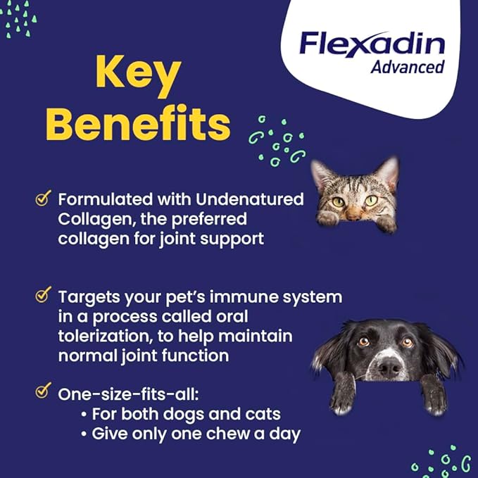Vetoquinol Flexadin Advanced Dog Hip and Joint Supplement with Undenatured Collagen, One Chew a Day Hip and Joint Support Chew for Dogs and Cats, Clinically Proven Vet-Approved Formula, 30 Chews