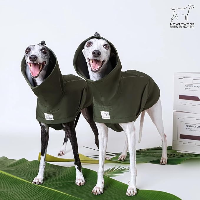 Waterproof Dog Raincoat, Hooded Raincoat for Dachshund Whippet Small Medium Large Dogs, Adjustable Dog Rain Coat Jacket (01(Dachshund 5-10lbs))