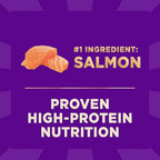 Wellness CORE+ Sensitive Skin & Stomach Dry Dog Food with Freeze Dried Pieces, Wholesome Grains, High Protein, Natural, Salmon & Rice Recipe, (18-Pound Bag)