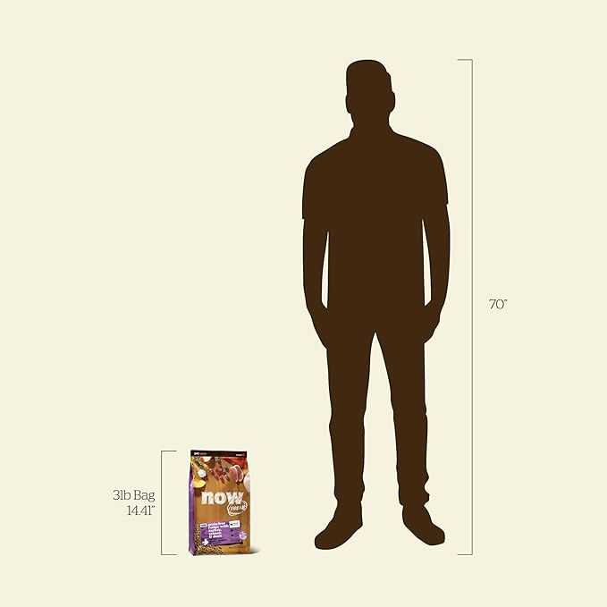 Now Fresh Grain-Free, Dry Cat Food, Turkey, Salmon and Duck Kibble, Real Meat and Fish Senior Recipe, 3 lb Bag