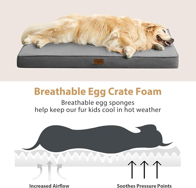 BFPETHOME Outdoor Dog Beds for Large Dogs, Waterproof Dog Bed for Medium, Large, Extra Large Dogs, Orthopedic Pet Bed with Removable Washable Cover, Egg Crate Foam Pet Bed Mat. (47 x 29 In, Dark Grey)