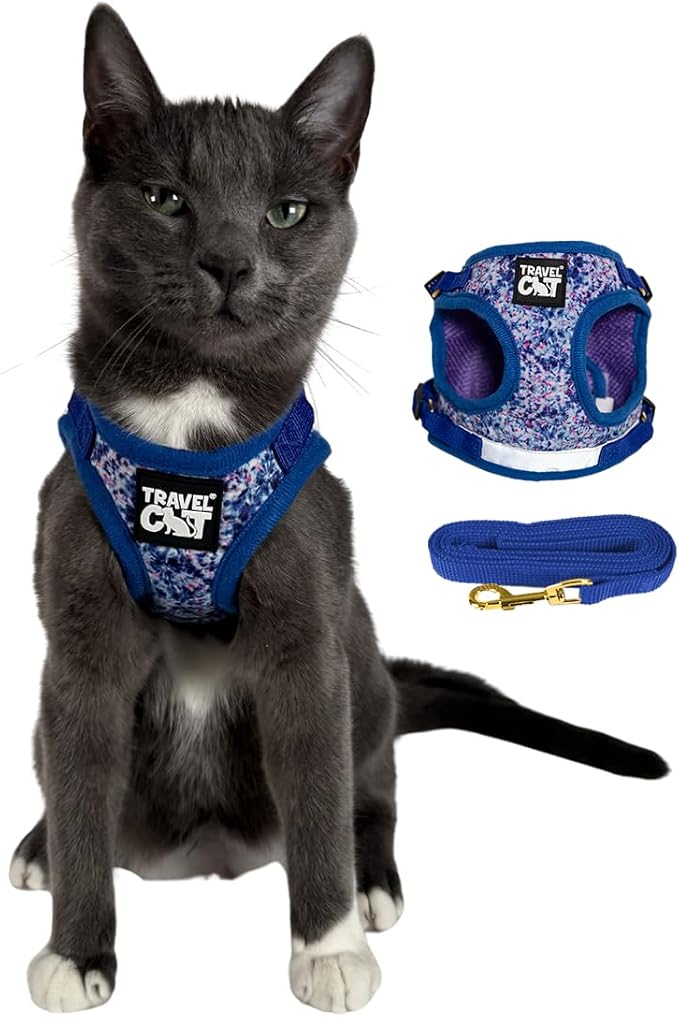 Travel Cat Harness and Leash Set - Adjustable Fit Mesh Cat Harness and Reflective Strap - Comfort Walking Vest for Kitten for Outdoor Walking, Hiking (Medium, Groovy)