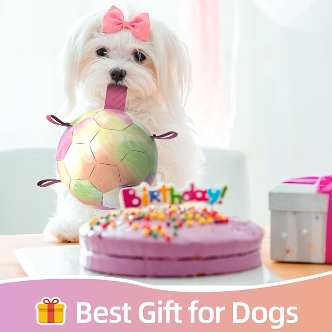 QDAN Dog Toys Soccer Ball with Straps,Gradient Interactive Dogs Toys for Tug of War, Puppy Birthday Gifts,Water Toy Durable Dog Balls World Cup for Small & Medium Dogs-Rainbow（8 Inch）