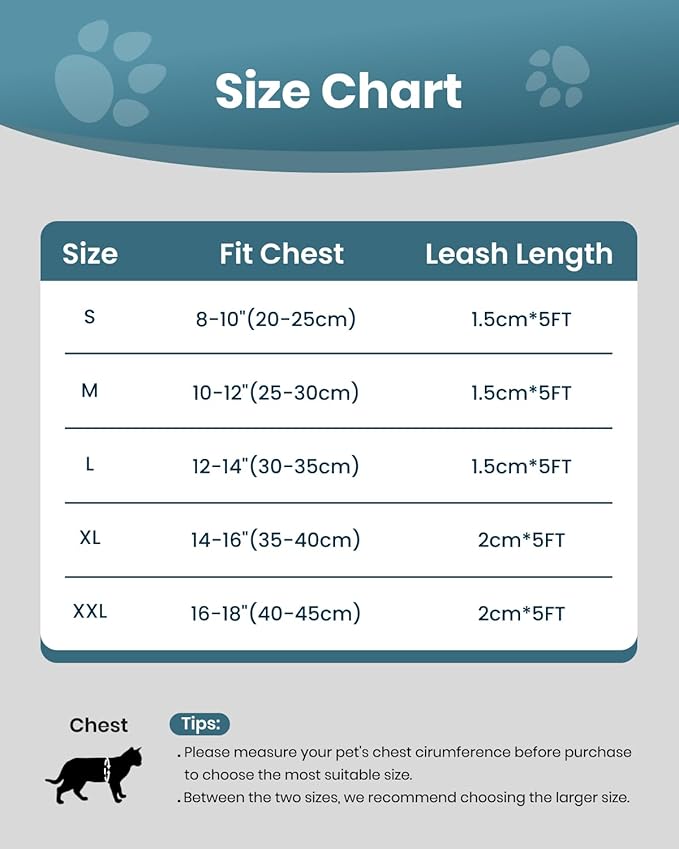 FAYOGOO Cat Harness, Cat Leash and Harness Set for Walking Escape Proof, Harness for Small Cats/Small Dogs, Large Kitten/Puppy Harness and Leash, Harness for Cats S-XXL(Tranquil Teal, Medium)