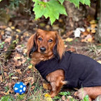 JACKO & CO - Fleece Vest Sweater with Leash Ring - Soft Lightweight Breathable for Puppies Small Medium Dogs, Kitten, Cats, Chihuahua - Warm for Fall/Autumn/Winter (Black, Medium 6-10lbs)