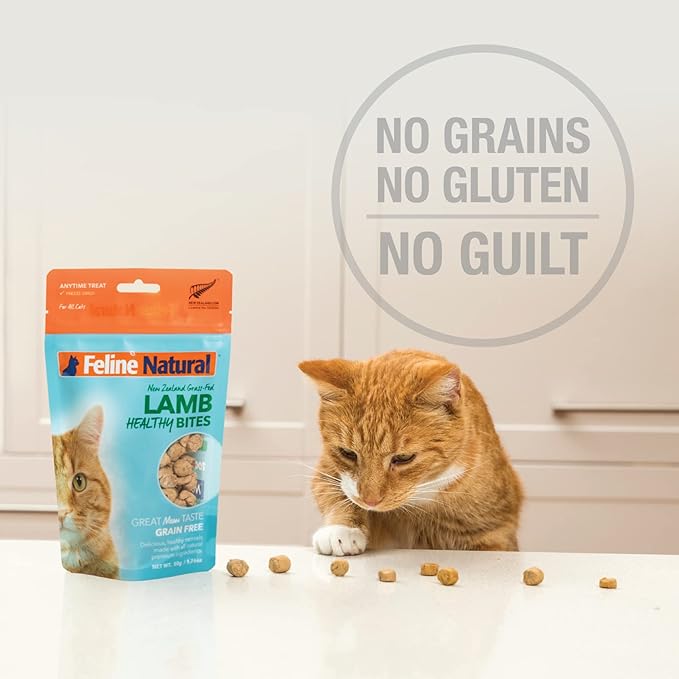 Feline Natural Freeze Dried Cat Treats – New Zealand Single-Source Protein Treats for Cats - Grain-Free Healthy Cat Snacks, Lamb Bites, 1.76oz (Pack of 2)
