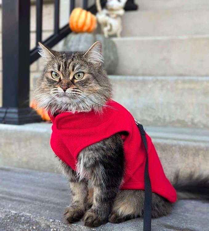 JACKO & CO - Fleece Vest Sweater with Leash Ring - Soft Lightweight Breathable for Puppies Small Medium Dogs, Kitten, Cats, Chihuahua - Warm for Fall/Autumn/Winter (Red, XX-Large 25-35lbs)