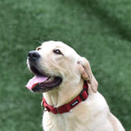 Hyhug Martingale Collar for Dogs Extra Large Red |Escape - Proof Heavy Duty Nylon Durable No Pull, Ideal for Training & Daily Walks