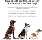 Moe’s 5-in-1 Essential Dog Multivitamin 90 Chicken Flavored Chews for Dog's Immune Support, Heart, Skin, Coat, & Overall Health- Vitamins A, B12, C, D, E, Antioxidants, Omega 3 for All Ages & Breeds
