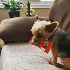 Huxley & Kent Funny Dog Toy w/Squeaker – Power Plush Squeaky Dog Toys for Small, Medium & Large Dogs – Soft Stuffed Animal for Indoor Play & Fetch - Roscos, Small