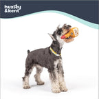 Huxley & Kent Funny Dog Toy w/Squeaker – Power Plush Squeaky Dog Toys for Small Dogs – Durable Small Stuffed Animal for Indoor Play & Fetch - Tiny Tuff Barker's Mark