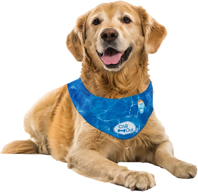 ALL FOR PAWS Dog Cooling Bandana, Cooling Bandanas for Extra Large Dogs, Ice Dog Bandanas, Cooling Neck Wraps for Dogs, Chill Out Blue Neck Cooler (XL)