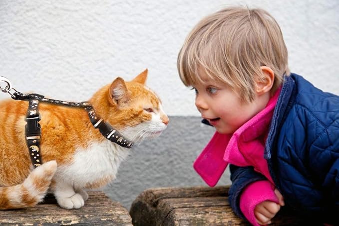 Cat Harness and Leash Set Gold Moons Stars Soft Nylon Escape Proof Adjustable for Kittens Small Animals Glow in The Dark (Black)