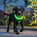 Pceotllar Light Up Collar - Rechargeable Led Dog Collar with Automatic 7-Color Changes, Water Resistant, Bright Glow for Night Walking (Black, M)