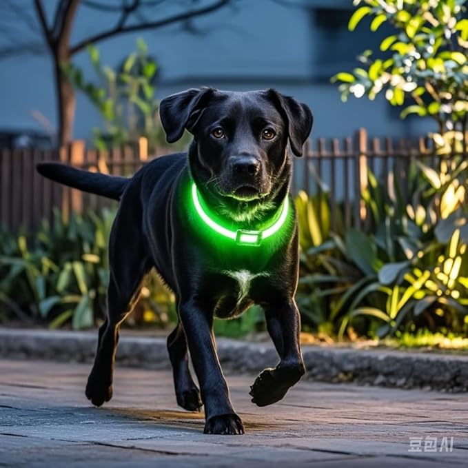 Pceotllar Light Up Collar - Rechargeable Led Dog Collar with Automatic 7-Color Changes, Water Resistant, Bright Glow for Night Walking (Black, M)