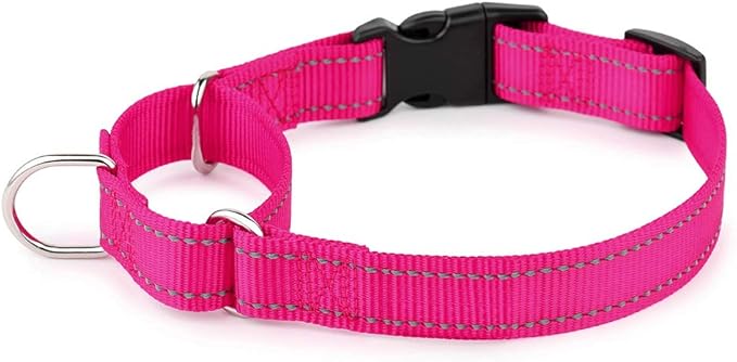 PLUTUS PET Reflective Martingale Collar with Quick Snap Buckle,No Pull Dog Choker Collar for Small Medium Large Dogs,L,Hot Pink