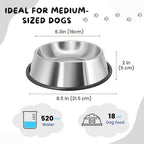 Flexzion Stainless Steel Dog Bowl No Mess Non Spill Dog Water Bowl Rubber Base Dog Bowls for Medium Sized Dog, Food and Water Dish, Pet Food Holder, 22 cm
