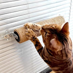 La La Pet® 3 Pack Punch Free Glass Wall Mount Cat Scratching Post Sisal Cat Scratcher Post Cat Wall Climbing Scratcher Cat Wall Furniture Cat Claw Scratcher for Indoor